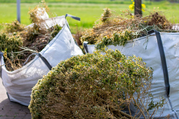 Best Junk Removal Near Me  in Owings, MD